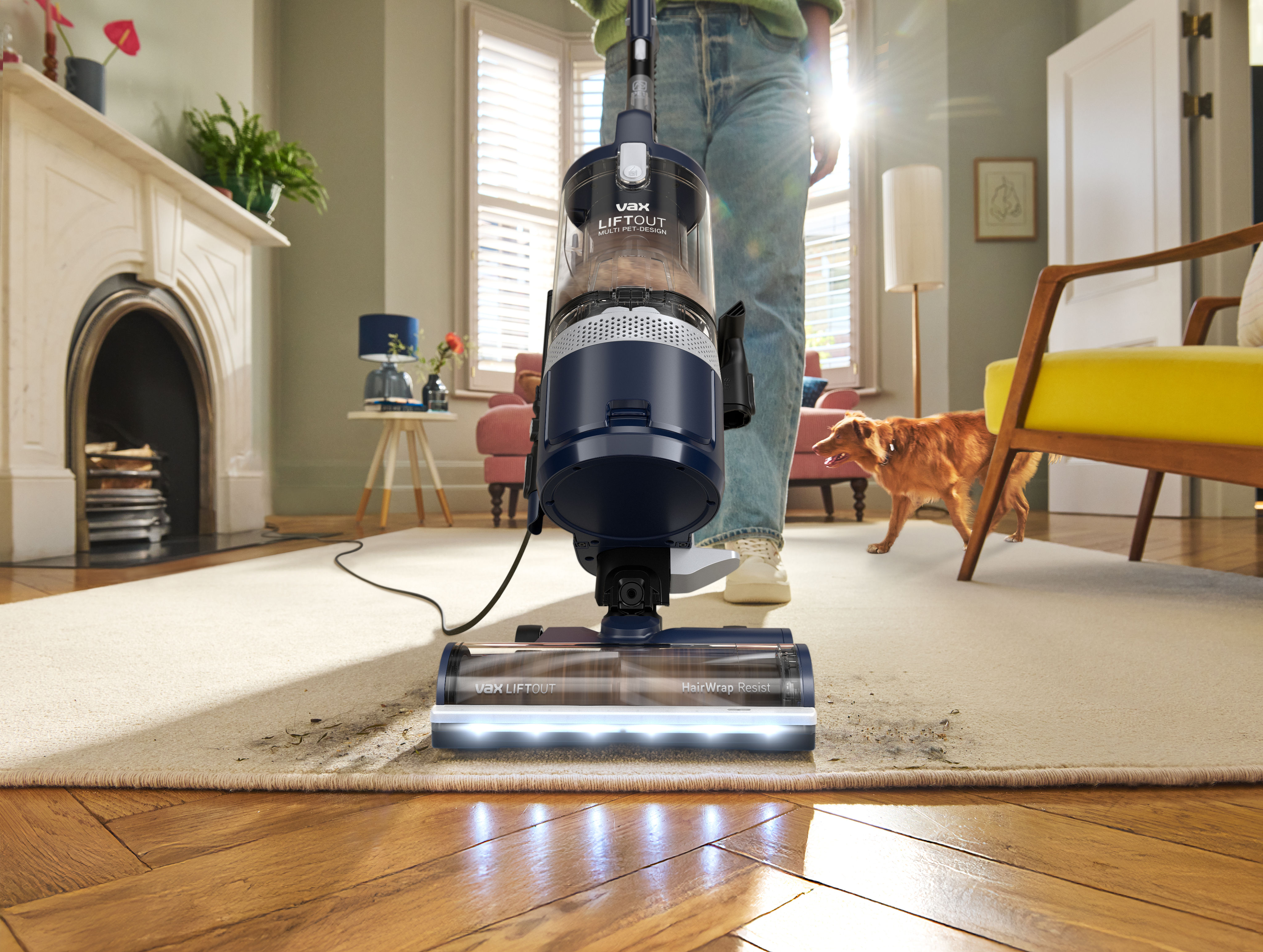 Search banner background