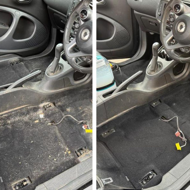 Tackle Car Interiors