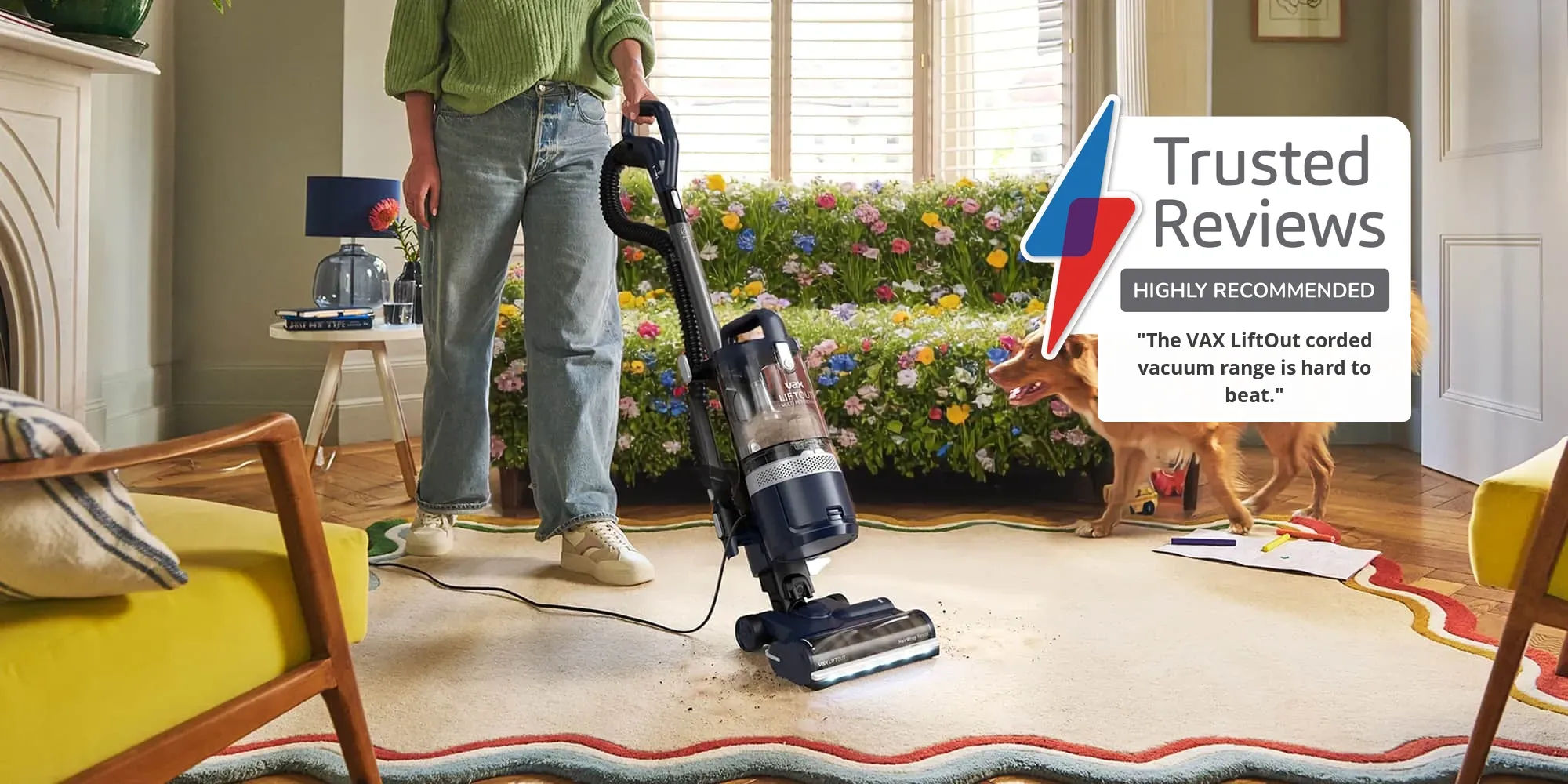 Search banner background