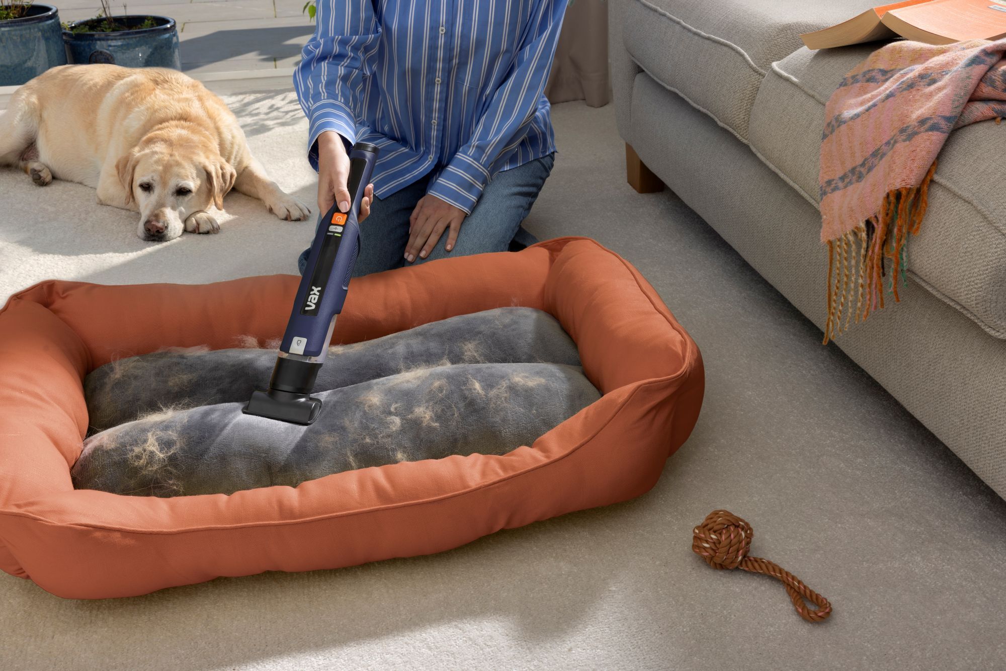 Clean pet hair from all over your home and car