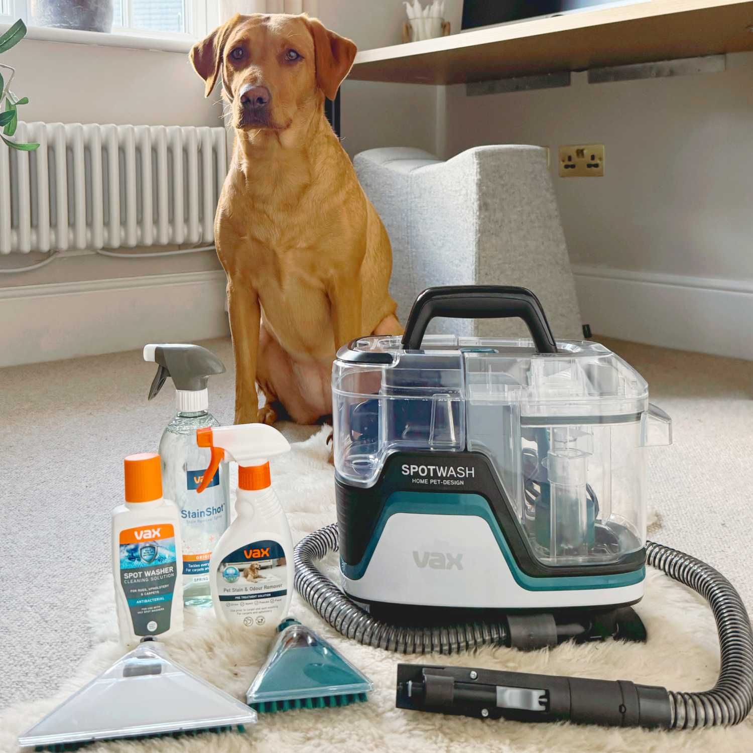 Spot Cleaners