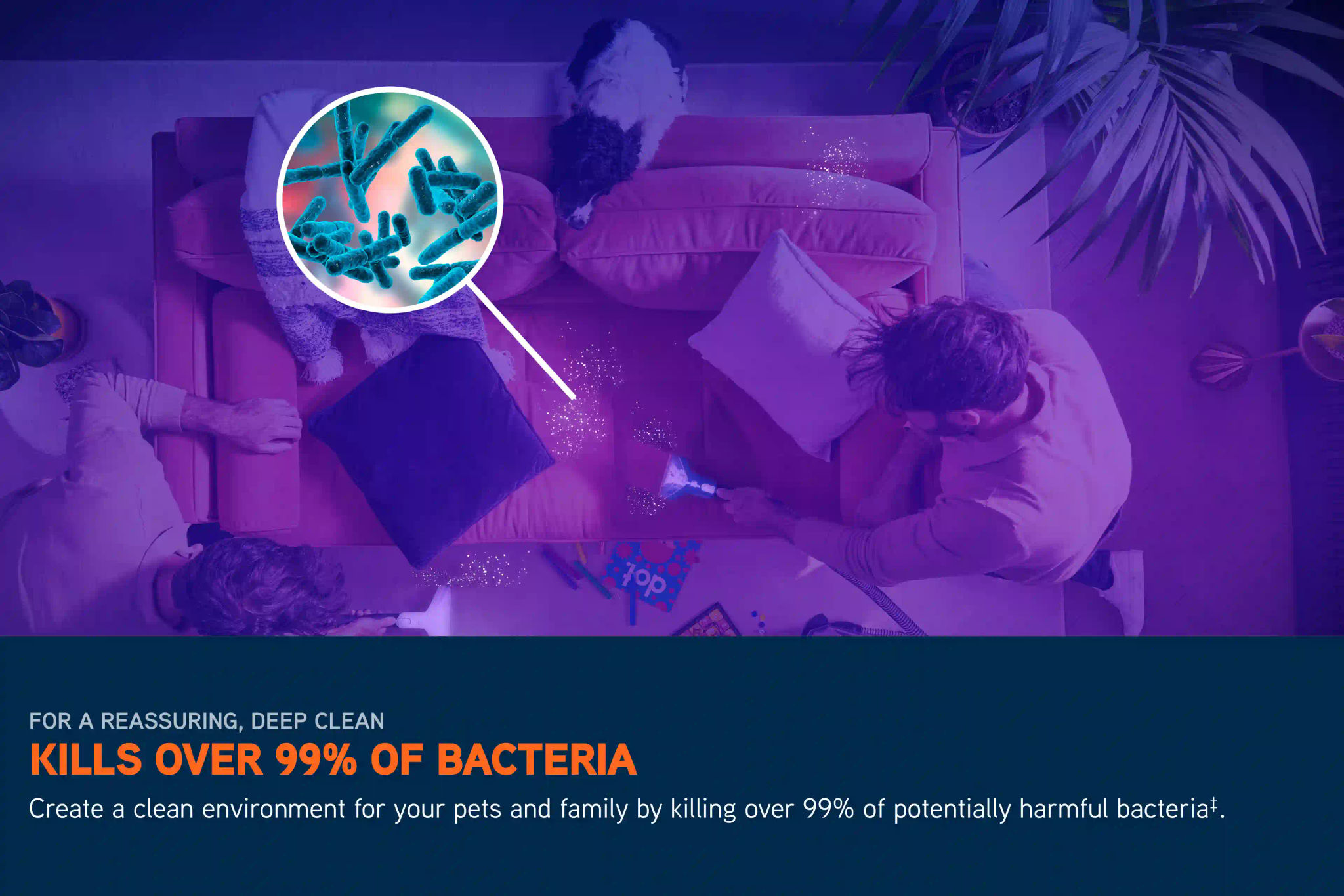 VAX SpotWash Max Pet-Design & Car