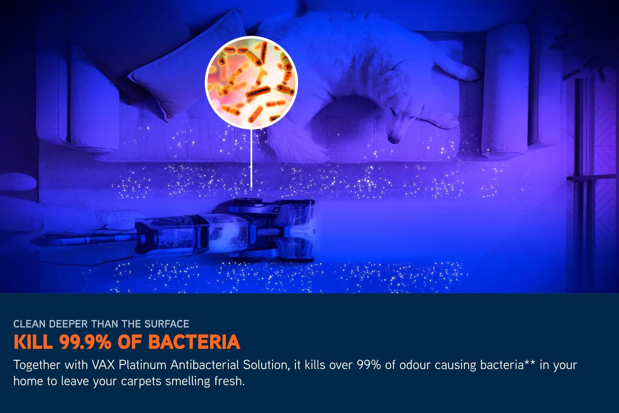 VAX Platinum SmartWash Pet-Design Carpet Cleaner
