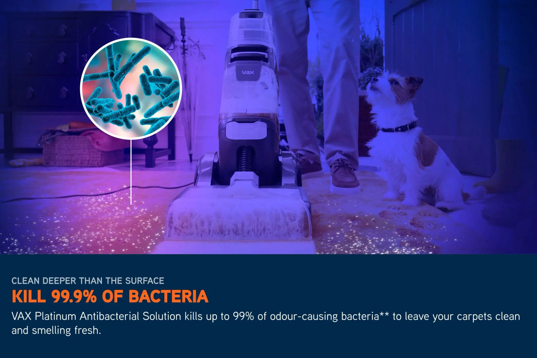 Bacteria graphic demonstrating kill 99.99% of bacteria, platinum antibacterial solution kills up to 99% of odour-causing bacteria when used with Vax Platinum Antibacterial Solution. Use biocides safely, always read the label and product information before