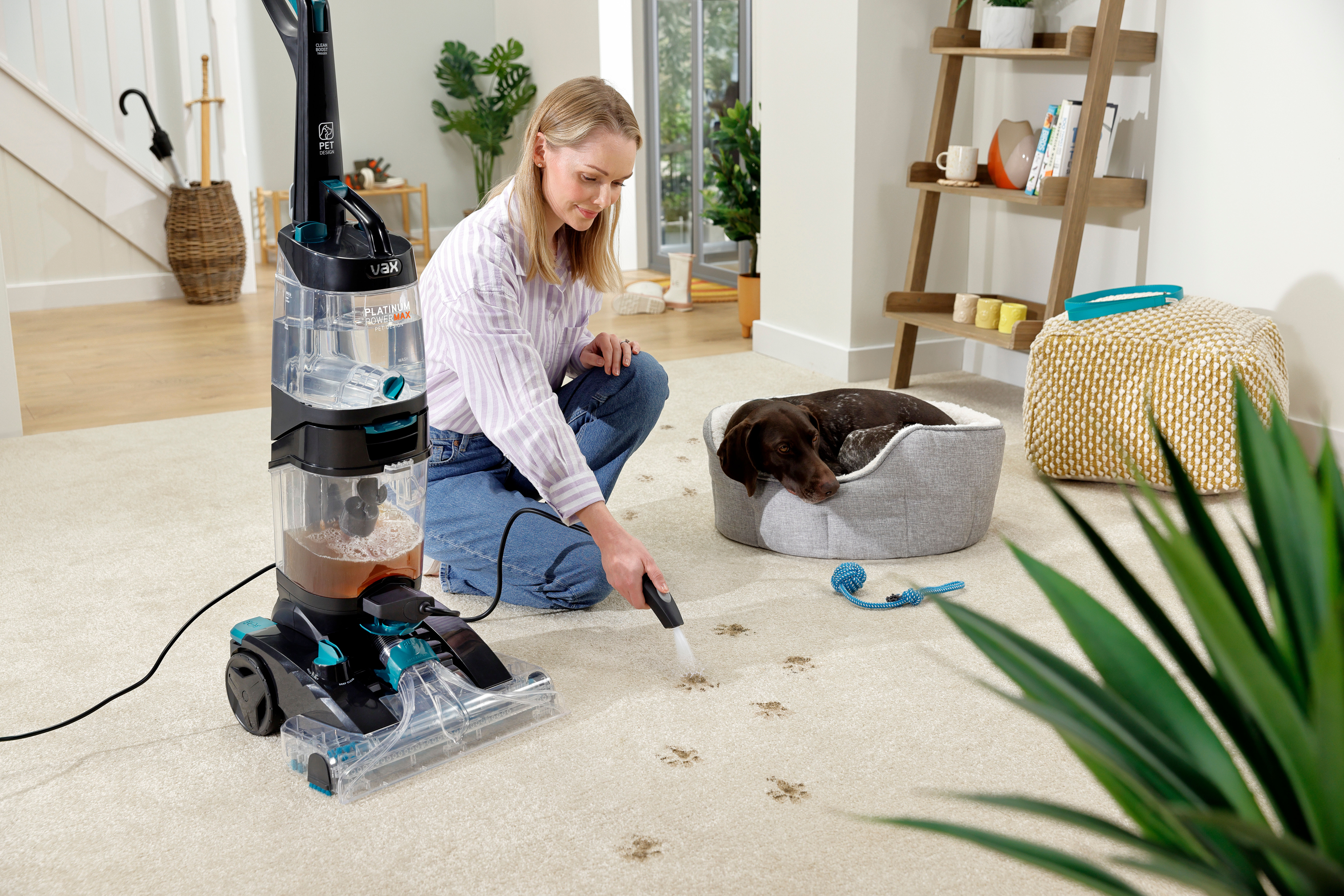 Platinum Power Max Carpet Cleaner Range