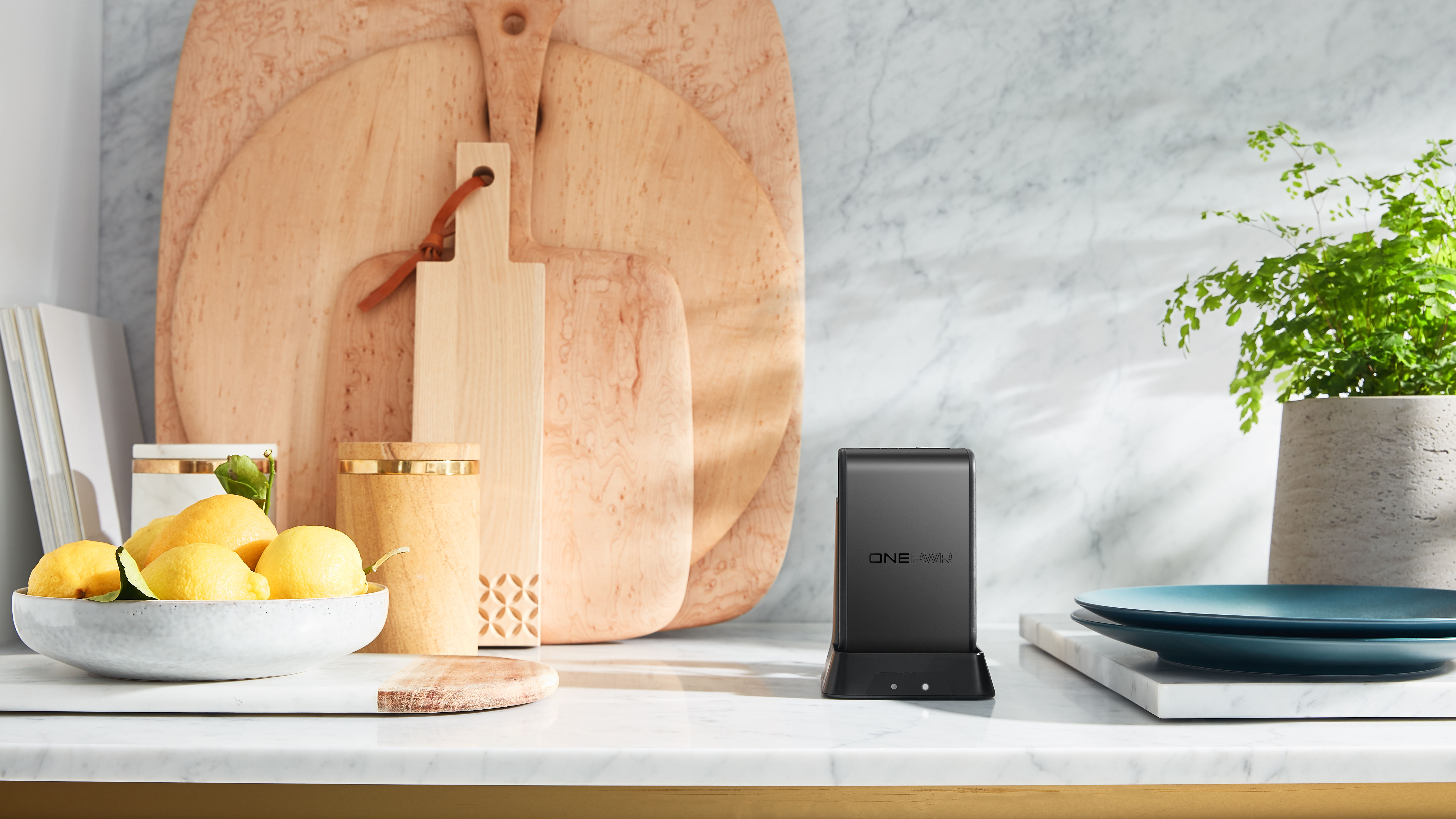 Spot Cleaner Batteries