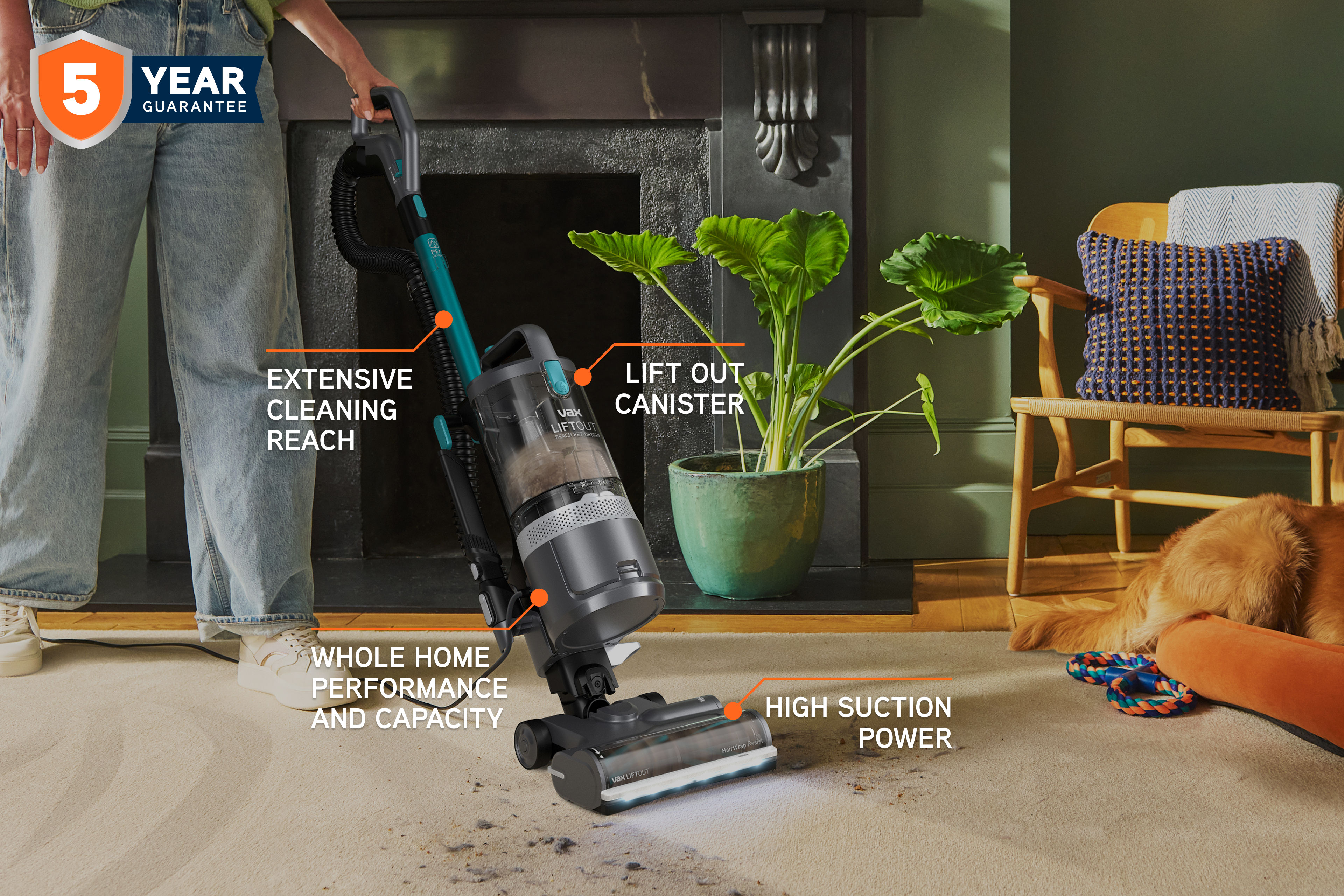 AAAA - Lift Out Imagery/SKU 4 - LiftOut Pet-Design/Image_2_LiftOut_Reach_Pet-Design_-_3840x2560_72DPI_Web