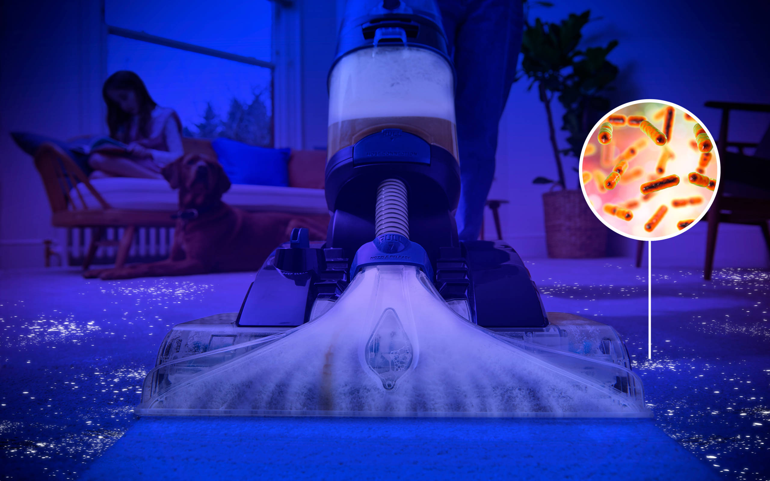 VAX Platinum Power Max Pet Design - Deep and Hygienically Clean