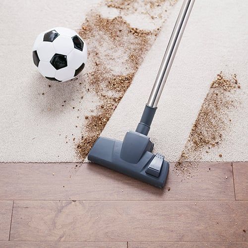 Support | Vax 6131T Multifunction Carpet Cleaner