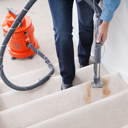 Support | Vax 6131T Multifunction Carpet Cleaner