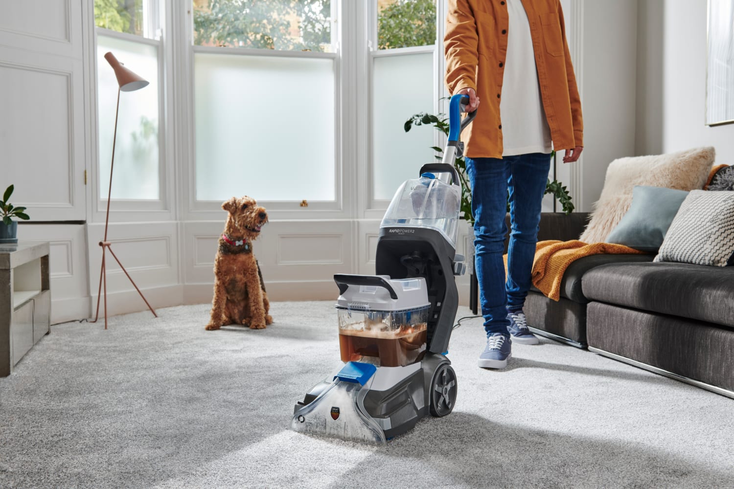 VAX Rapid Power 2 Reach Carpet Cleaner