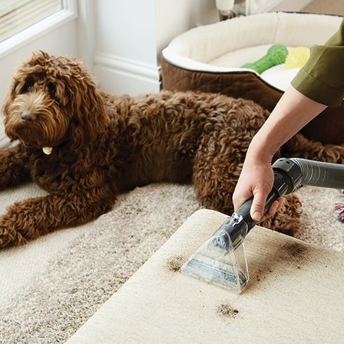 VAX Dual Power Max Carpet Cleaner ECB1TNV1 | | VAX Official Website