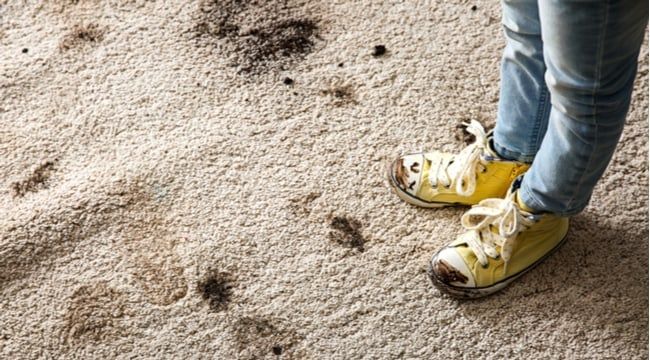 Keeping Carpets Clean this Autumn Keeping Carpets Clean this Autumn - Vax Blog