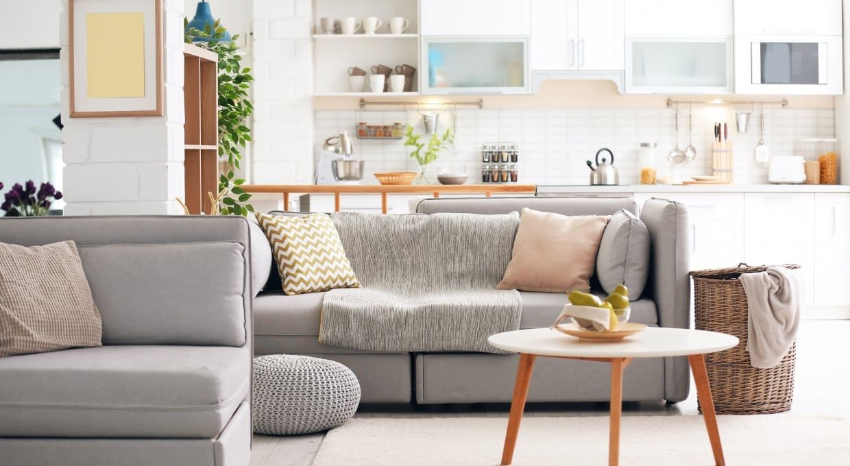 The January cleaning jobs to keep on top of - Vax Blog