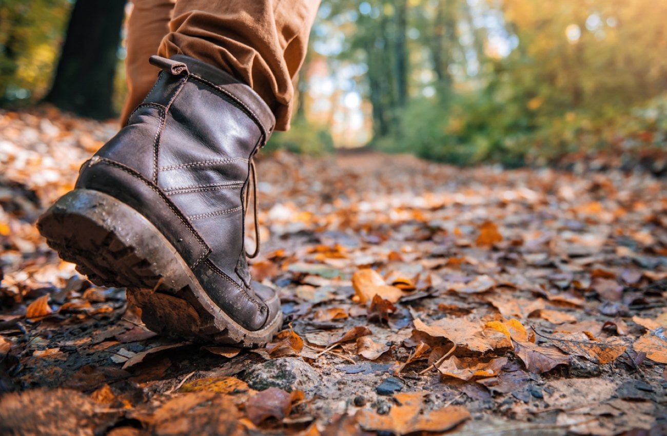 Is it time for your Autumn Clean? - Vax Blog