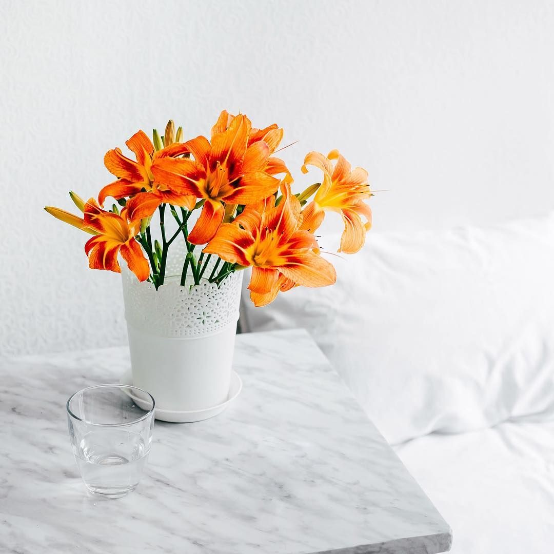 Why is Spring the best time to clean your carpets? Why is Spring the best time to clean your carpets? - Vax Blog