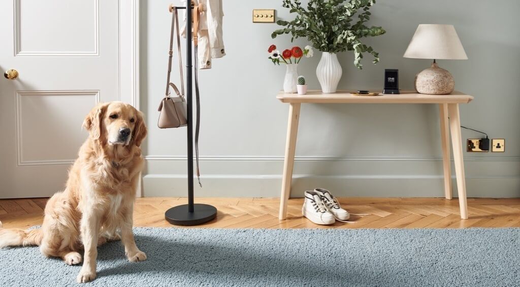 Tips to reduce allergens in the home Tips to reduce allergens in the home - Vax Blog