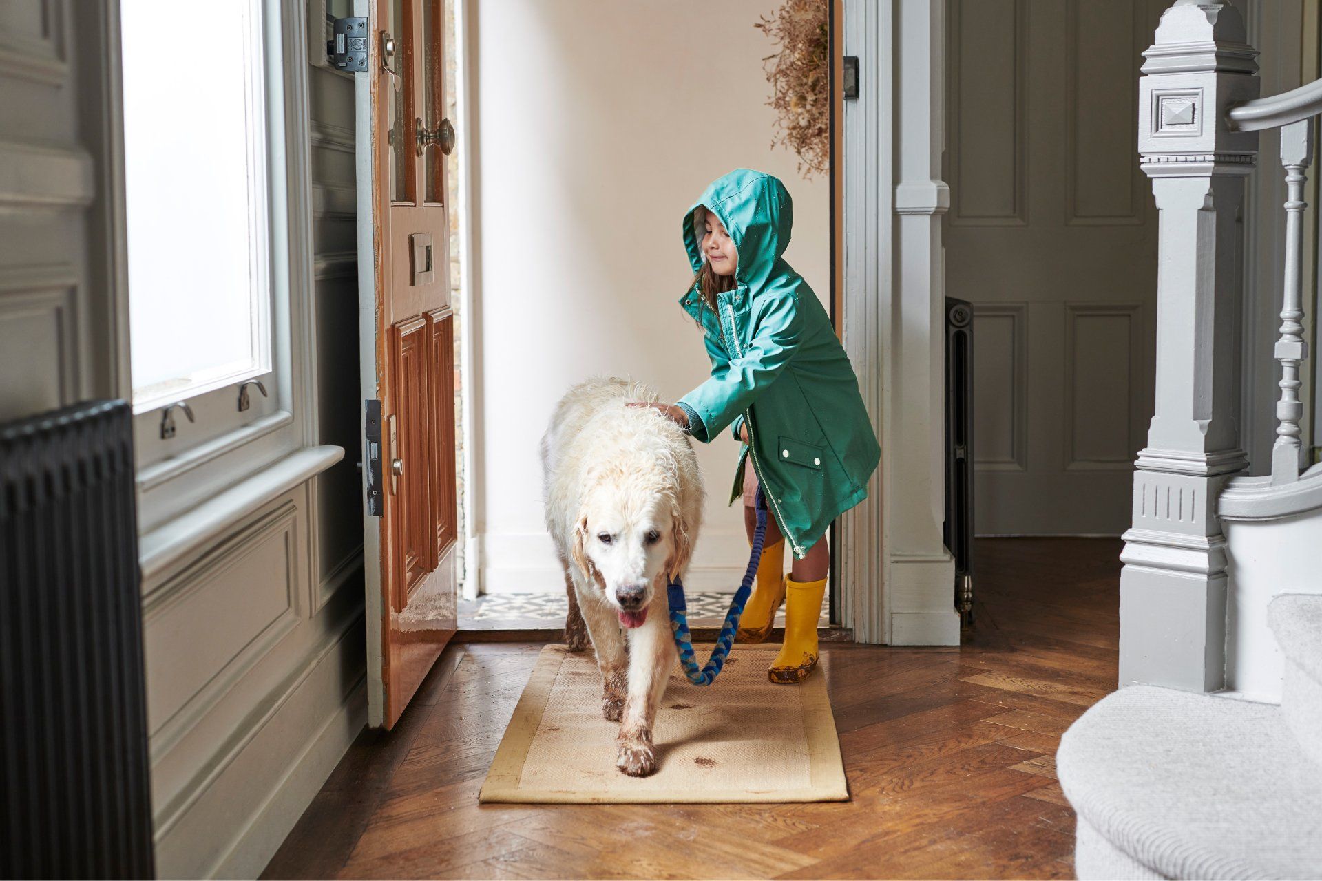 Cleaning tips for pet owners - Vax Blog